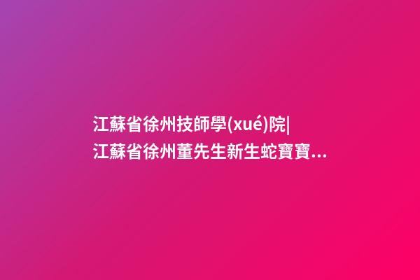 江蘇省徐州技師學(xué)院|江蘇省徐州董先生新生蛇寶寶起名正在進行中-第1張-公司起名-玄機派